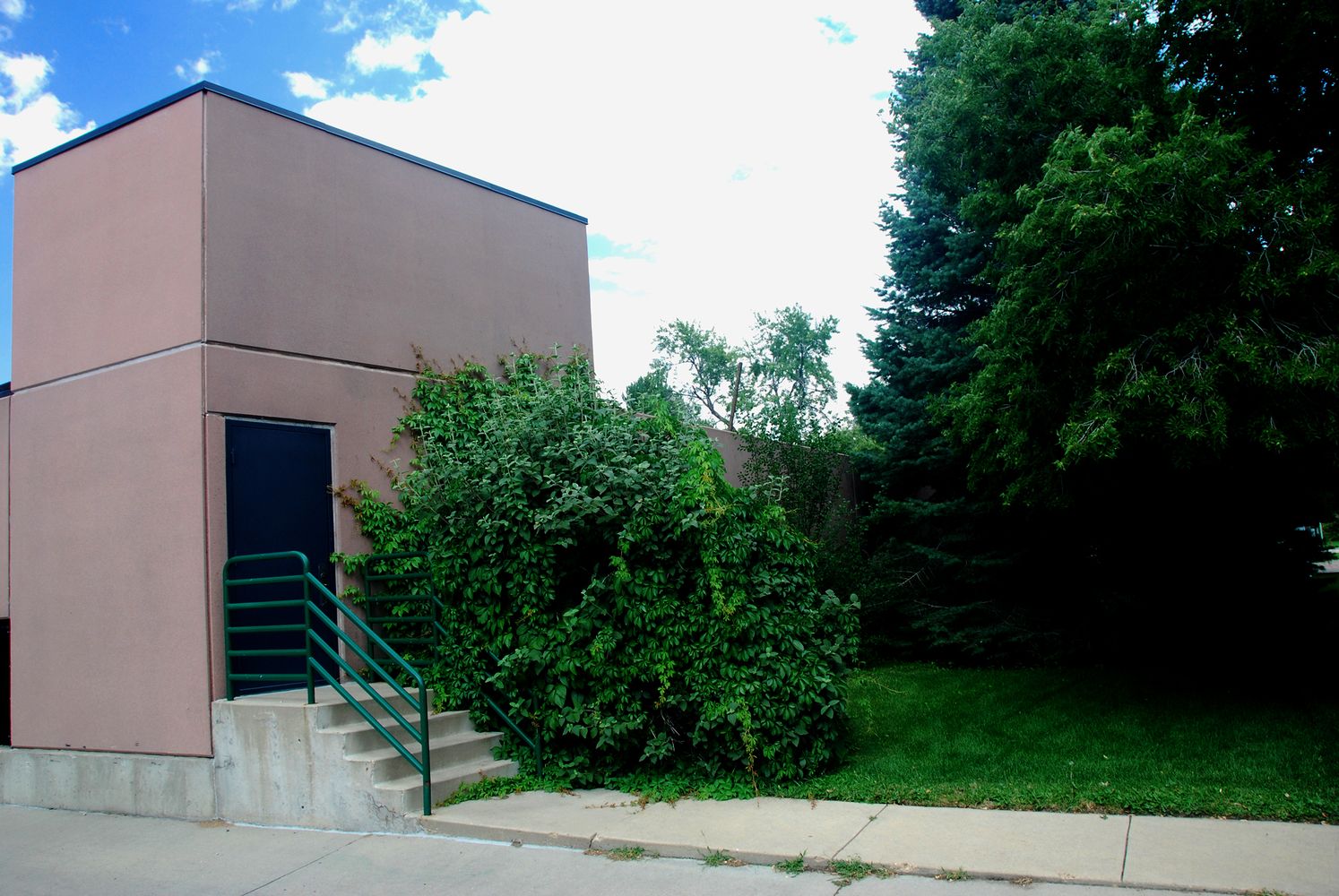 Rose at Hale Parkway: 4495 Hale Pkwy, Denver, CO 80220
